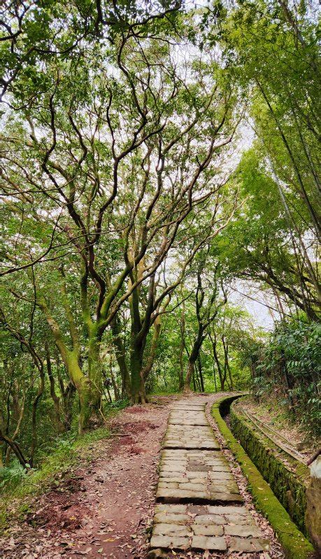 七星瀑布|絹絲瀑布步道，黃嶺埔山，苗圃登山口上七星山，七星。